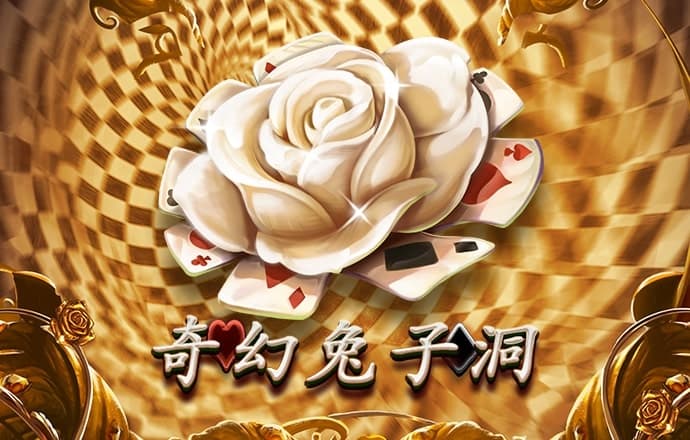 半岛综合官网